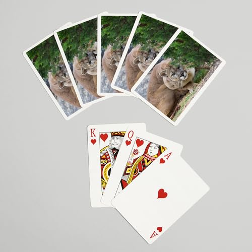 Lantern Press Cougar Crouching, 52 naipes poker miniatura 7