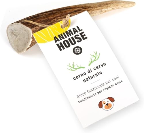 Animal House - Corna di Cervo per Cani Intere - Masticativo Naturale al 100% - Rafforza Igiene Orale - Resistenti e Duraturi - Disponibili in Tutte Le Taglie - Cruelty Free (XS)