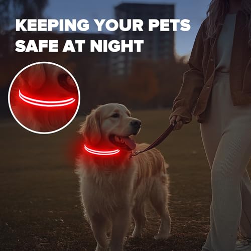 Feycig Leuchthalsband Hund USB Aufladbar - LED Hundehalsband Leuchtend Wasserdicht Leuchtendes Hunde Halsband Einstellbare für Kleine Mittlere Große Hunde, 3 Modi