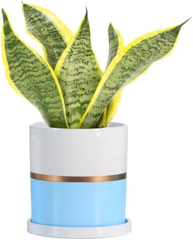 Ekirlin 5 inch Plant Pot - Ceramic Flower Planters Indoor - Modern Succulents Containers with Drain Hole Saucer, Decorate Home, Office & Outdoor (Blue)