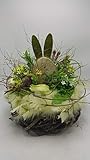  Tischgesteck Frühlingsgesteck Ostergesteck Tulpen Gräser Daunen Hase Blätter