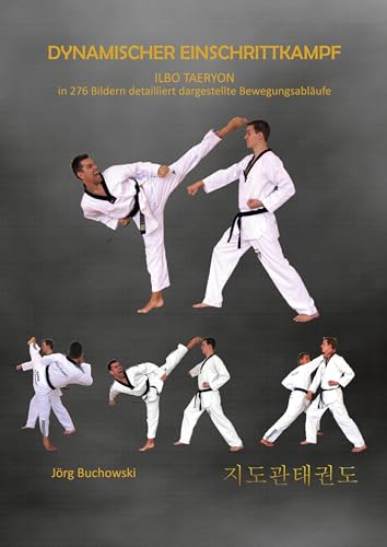 Preisvergleich Produktbild Dynamischer Einschrittkampf Ilbo Taeryon: Dynamisches Taekwondo