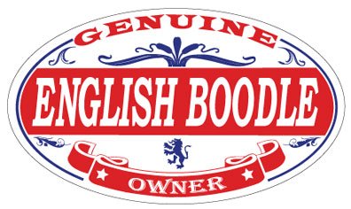 English Boodle Oval Sticker
