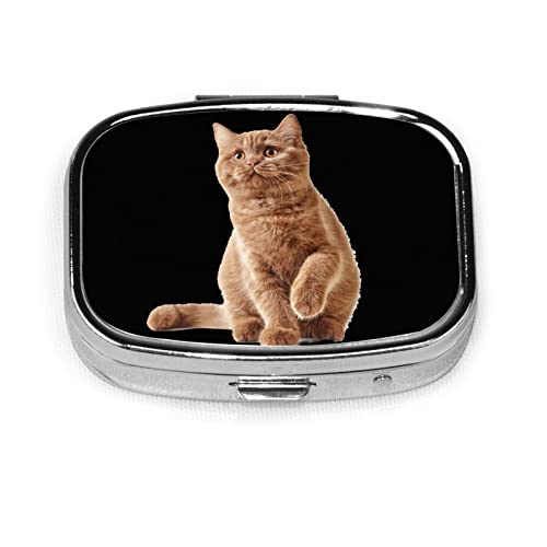 sP[X P[X ^   G gL lR K ݖYh~ RpNg gїp ^т₷  萮 ֗ [P[X KP[X  wցElbNXERElW[ ^[P[X 