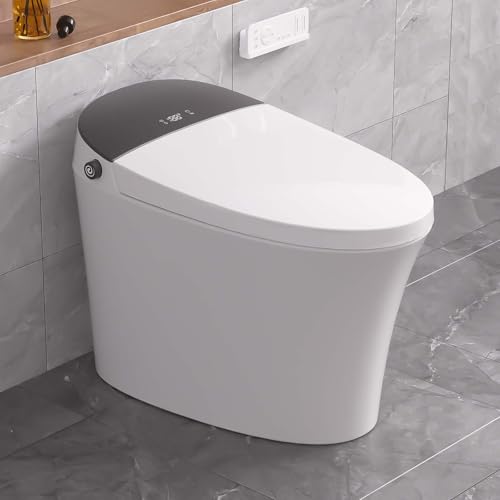 Keloyid Modern Smart Toilet with Bidet Built in, Elongated Heated