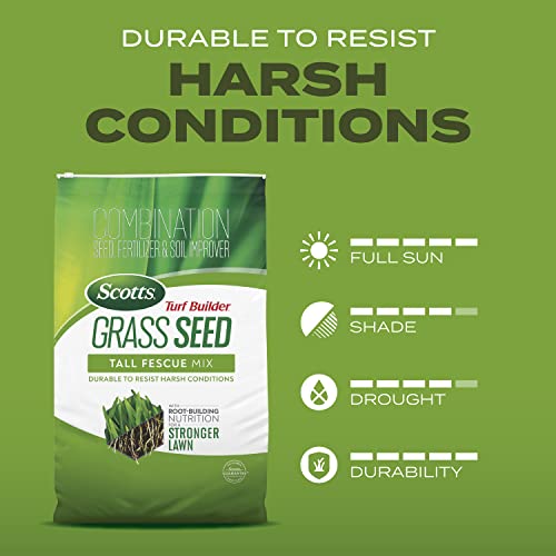 Scotts Turf Builder Grass Seed Tall Fescue Mix, 5.6 lbs. - image 7