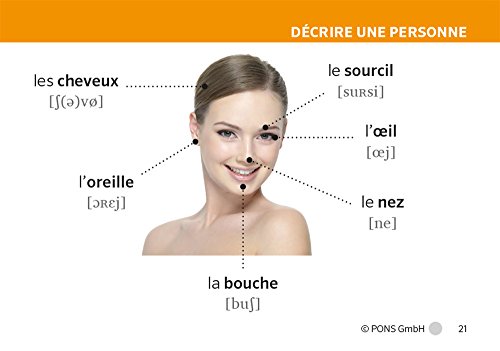 PONS Vokabelbox in Bildern Französisch: Schnell