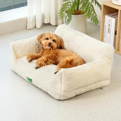 MEWOOFUN Katzen Sofa Katzenbett für Wohnungskatzen, Niedlich Kätzchen Bett Haustiersofa mit abnehmbarem, waschbarem Bezug und Rutschfester Unterseite für kleine Hunde (Weiß, M)
