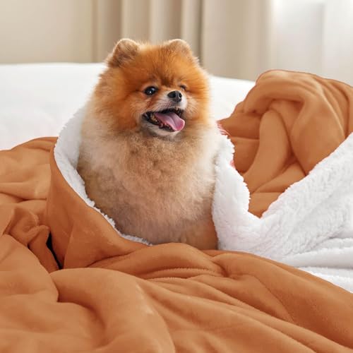 Image of Bedsure GentleSoft Sherpa Fleece Blankets King Size for Bed, Non-Heated, Thick and Warm Throw for Women and Men, Soft Fuzzy Plush King Blanket for Winter, Burnt Orange, 108x90 Inches