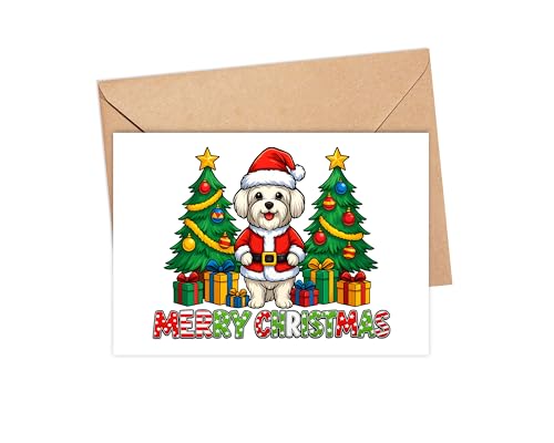 AdamLongStore }`[YeA NX}XJ[h 2025 - 킢T^Aj̃zf[c[ƃMtg{bNXt - Flւ̋G߂̈A Ƒ Wi fR[V