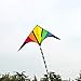 Besra 110inch Rainbow Delta Kite 9.2ft Single Line Kite with 15m Long Tail for Kids and Adults Outdoor Fun Sports for Beach & Park