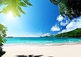 Beach Backdrops for Photography 7x5ft Tropical Coast Paradise White Cloud Blue Sky Sea Coconut Tree...