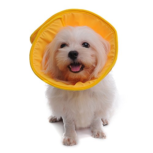 Comfy Cone Il Miglior Prezzo Di Amazon In Savemoney Es