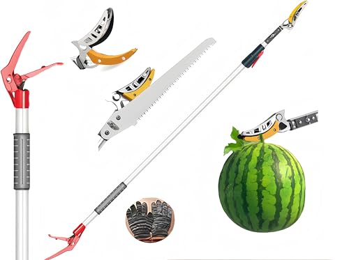 }؂oT~ Lk t SK5 | }؂ }؂mRM ͂ 2 iLk 2mA3m y t bNt }Ή ʕ K[fjO _ 뉀 Ɩp ƒp (2.3-4m,iLk)