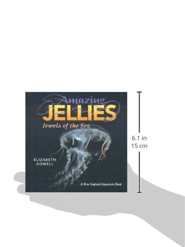 Amazing Jellies: Jewels of the Sea - Image 2