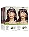Naturtint Permanent Hair Color - 5M Light Mahogany Chestnut, 5.28 fl oz (6-pack)