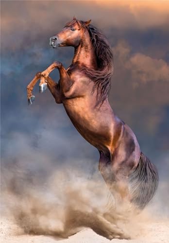 Clementoni - 35521 - Puzzle Collection - Wild Red Stallion - 500 Pezzi - Puzzle Adulti, Verticale, Divertimento Per Adulti, Made In Italy - 2