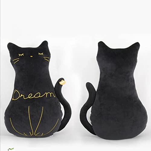  lR L ˂  傫 u G YQ D  ᔽ Q a v[g  50cm q NX}X D _炩 ubN 蕨 q̓  킢  ʂ Q 