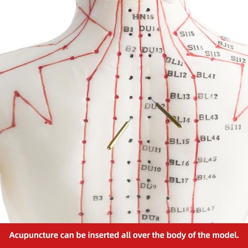 Muñeca de acupuntura femenina de 48 cm con meridiano y 361 puntos de presión, modelo de entrenamiento de PVC transparente grabado para terapia de masaje