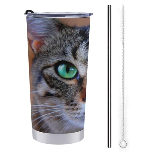 L   XeX}OJbv X^CbV 600ml ۗ ۉ Wt ^u[ 򂪗e d\ fM ڂȂRbv ItBXԗp