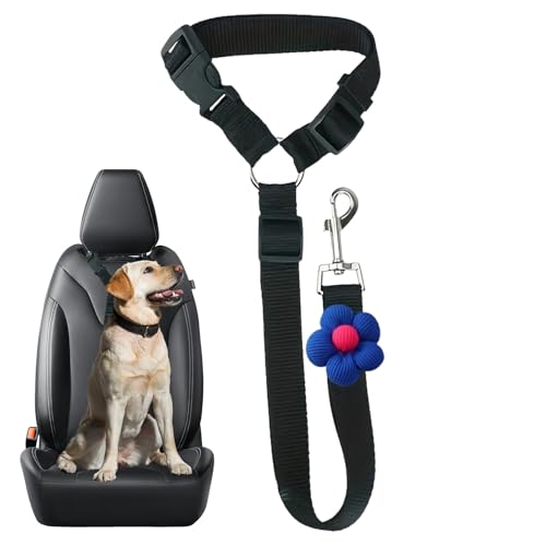 LUAMY pV[gxgn[lX ԗp - Lk\ S  ybgpi - Lp  wbhXg Sxg,s [hgbv ʋ ^]  ^ ^ q qLp