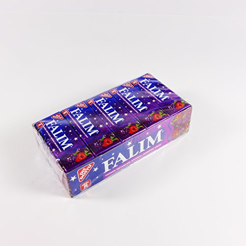 Falim Plain Gum - Forrest Fruits Flavoured- 20 5 = 100 Pieces