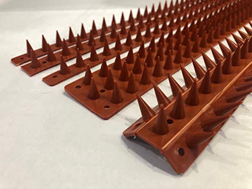 Eco Fence Wall Spikes Garden Security. Anti-Climb Cat And Bird Deterrent Intruder Deterrent. Made In The UK Pigeon Spikes Pest Control For Gardens - Terracotta 30 Pack - 15M to 45M