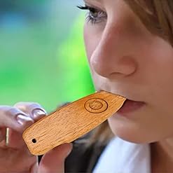 Xiaoba Kazoo en Bois, Kazoo en Bois Vintage pour Guitares ukulélé, Instrument Le Plus Simple Kazoo en Bois pour Guitares… - Les Beatles, Paul McCartney, John Lennon, RIngo Starr, George Harrison Xiaoba Kazoo en Bois, Kazoo en Bois Vintage pour Guitares ukulélé, Instrument Le Plus Simple Kazoo en Bois pour Guitares… – Image 3