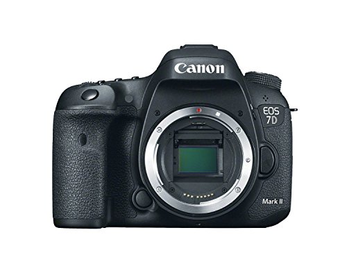 Canon EOS 7D Mark II Digital SLR Camera (Body Only) + Deal-Expo Accessories Bundle