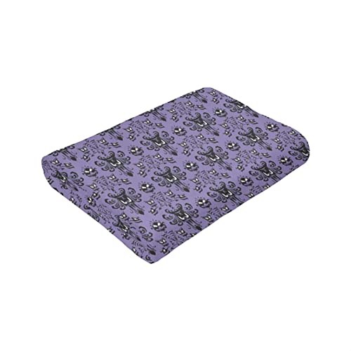 Couverture polaire Haunted Mansion en microfibre douce et légère pour le lit ou le canapé du salon