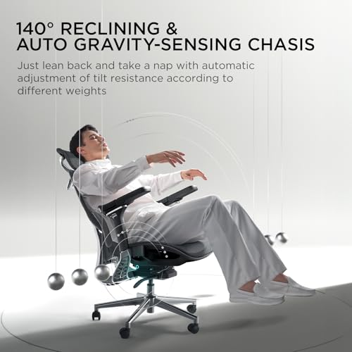 Hbada E3 Pro Ergonomic Office Chair, Big and Tall Office Chair - with 3-Zone Dynamic Lumbar Support, 4D Adjustable Headrest, 6D Adjustable Armrests, Swivel, Black(No Footrest)