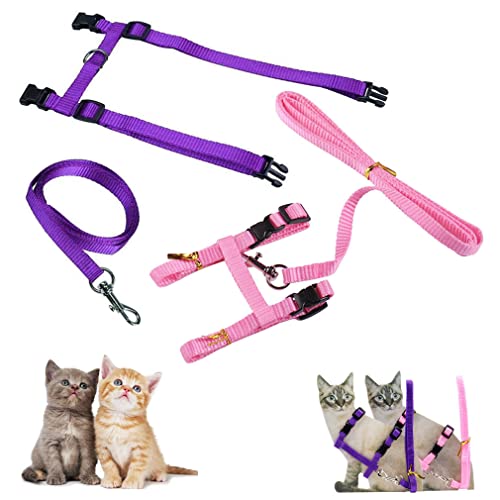 Morices Cat Harness and Leash, 2 Pack
