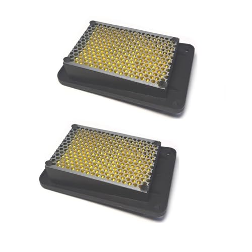 Filtre à air de moto haute filtration pour XS150T et 125