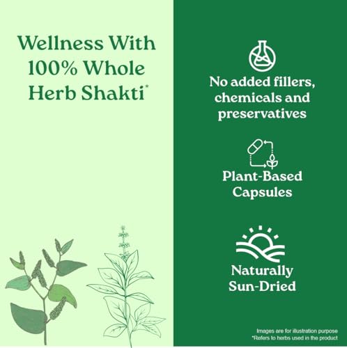 A TATA Product - Organic India Breathe Free - 60 Veg Capsules, Naturally Relieve Shortness of Breath, Wet & Dry Cough, Congestion & Improves Lung Capacity, GMP & NPOP Certified Organic