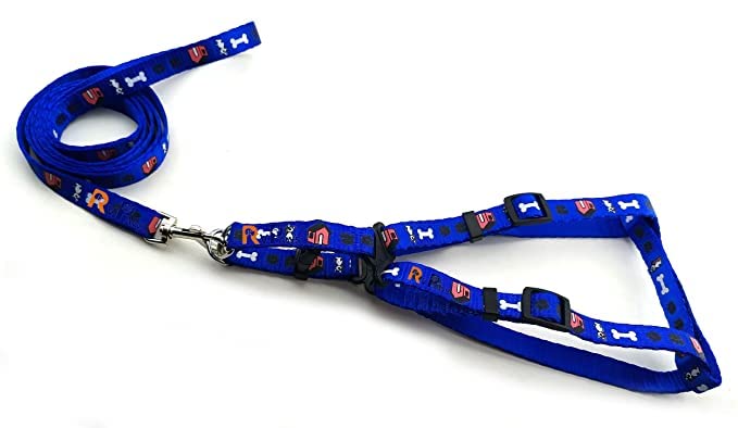 Dog Body Nylon Harness and Leash Set, 15 MM Soft Adjustable Bone Paw Printed with Metal Hook (Blue), Walking Training Accessory Secure Comfortable Fit-image-38