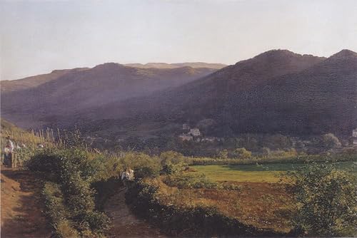 Posters et art pour décoration chambre vintage paysage de montagne avec vignoble 60x90cm