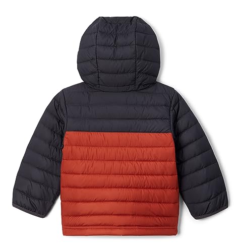 Image of Columbia Kids Powder Lite Hooded Jacket (Little Kids /Big Kids)