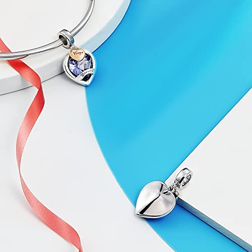 Amatolove Mothers Day Gifts February Birthstone Charms For Bracelets Rose Gold Plated Heart Hope Charm For Women Birthday Jewelry #TOP3