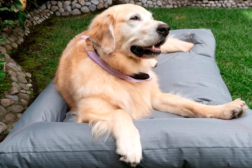 Review de Camas para perros soriana - solo los mejores. 20 Imagen adicional