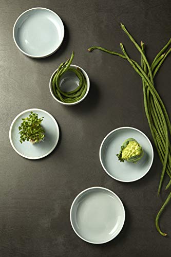 Plato de sushi gris estrecho de porcelana 11 pulg miniatura 3