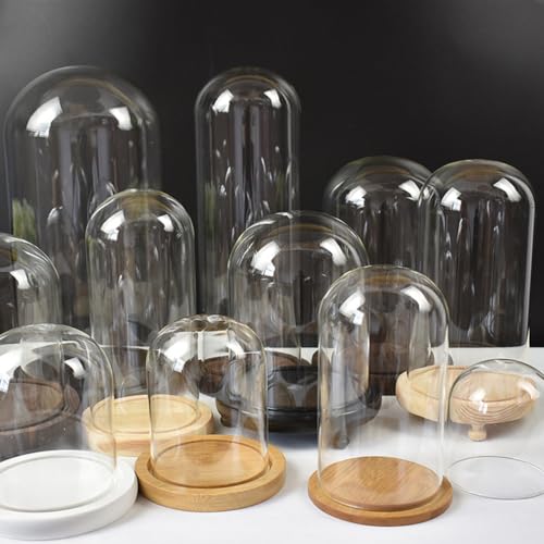 Cúpula de cristal transparente con base de madera portátil de 9x24cm para casa 5