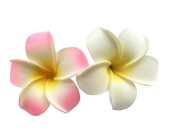 2Pcs White and Pink Flower Hawaiian Frangipani Plumeria Clips and Barrettes Foam Head Flower Party Beach Hair Clip Hair Womens Fashion Clips Hair Accessories 7cm