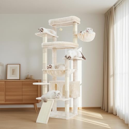 Heybly Arbre à Chat XXL de 202 cm avec Plateformes