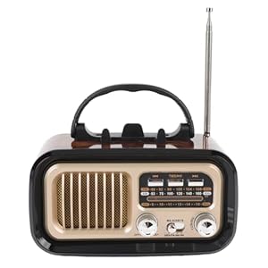 Gowenic Retro Radio mit BT-Lautsprecher