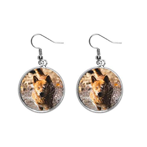 Pendientes de plata con fotografía de perro lindo en cerámica hecha a mano