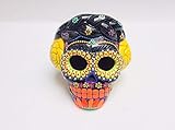 Frida 8 Cráneo de flores multicolores y agave mexicano, artesanía mexicana, altar de muertos, Ofrenda, fiesta de la vida y la muerte, hogar mexicano