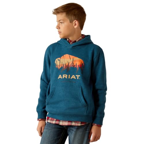 ARIAT Boys' Bison Plains Hoodie