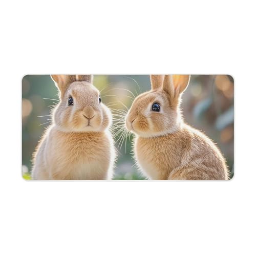 Little Cute Rabbits(�c�[���g���L���[�g���r�b�g) �f�X�N�}�b�g ����~�� ��^�f�X�N�p�b�h �v���e�N�^�[ �m�[�g�p�\�R���}�b�g �L�[�{�[�h�ƃ}�E�X�p �f�X�N���C�e�B���O�p�b�h �f�X�N�̐����ƃA�N�Z�T���[ �I�t�B�X�⎩��p