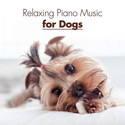 Relaxing Piano Music for Dogs – Sound Therapy, Deep Relaxation, Anti Anxiety, Calmness