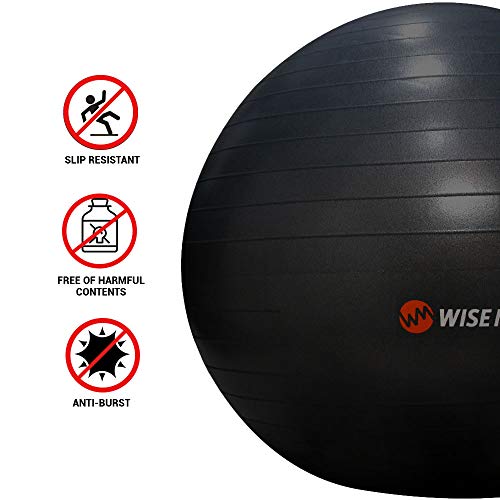 Wisemax Exercise Ball Chair – Stability Yoga Balance Ball With Inflatable Ring Base, Resistance Bands & Pump, Loop Bands, Carry Bag, Poster For Home, Office, Posture, Gym Bundle, Home Workout- 65Cm #TOP3